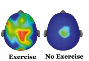 It's True, Exercise Makes You Smarter Too