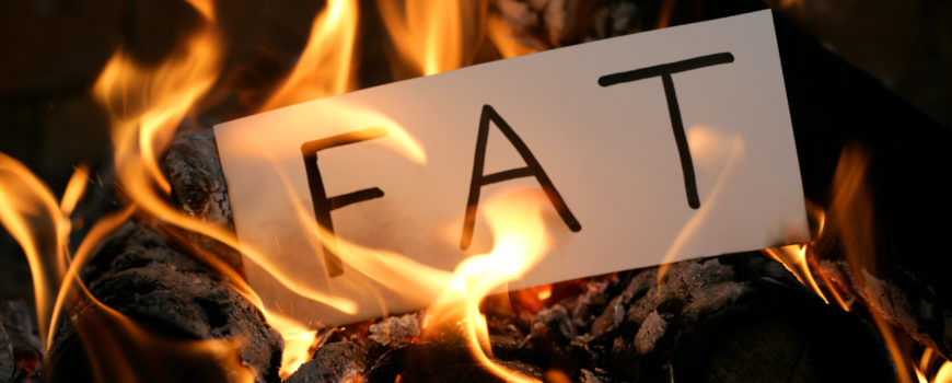 Fat Burning: Use It & Lose It